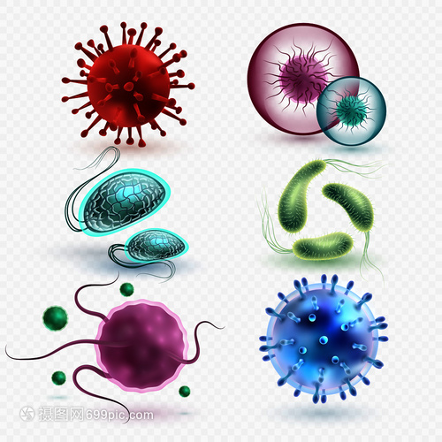 3D現實中的微生物與細菌 隔離、媒集與微觀世界的探索